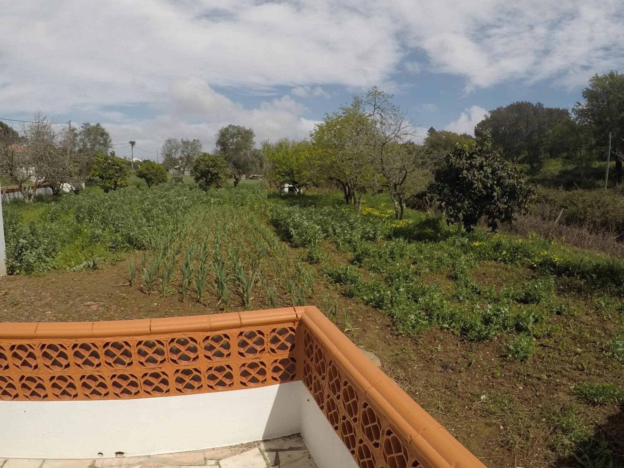 Casa Do Henrique Villa เซาลูอิส ภายนอก รูปภาพ